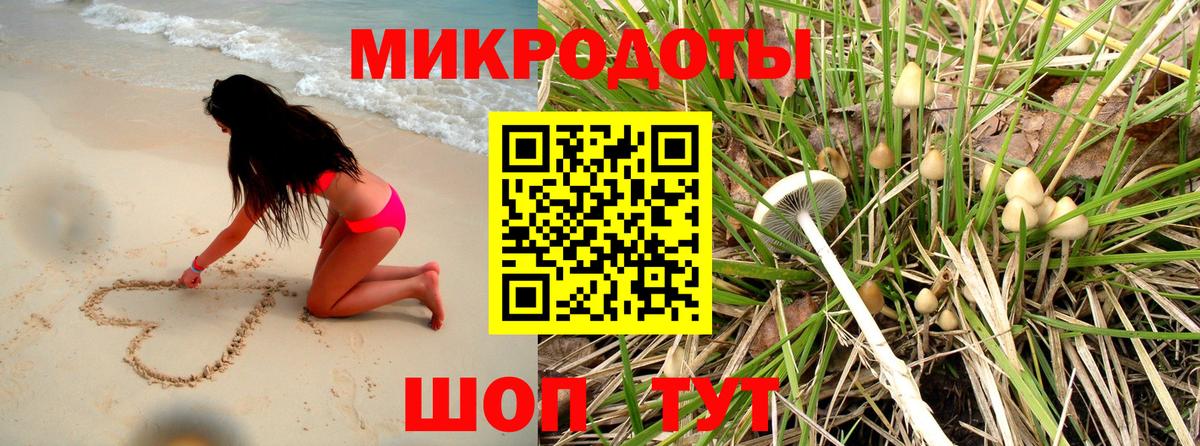 Псилоцибиновые грибы Magic Shrooms  Вход с VPN  Коммунар  Псилоцибиновые грибы Psilocybine cubensis 